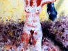 rossa-di-sera_70x50